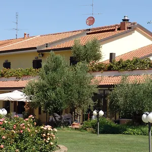 Fattoria Belvedere Bauernhof